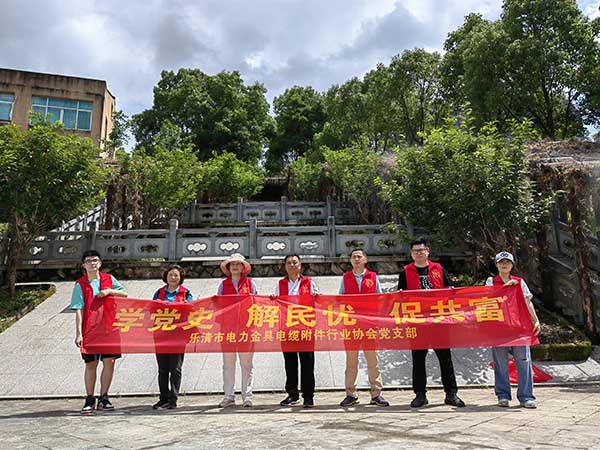 协会开展“学党史 解民忧 促共富”主题党日活动